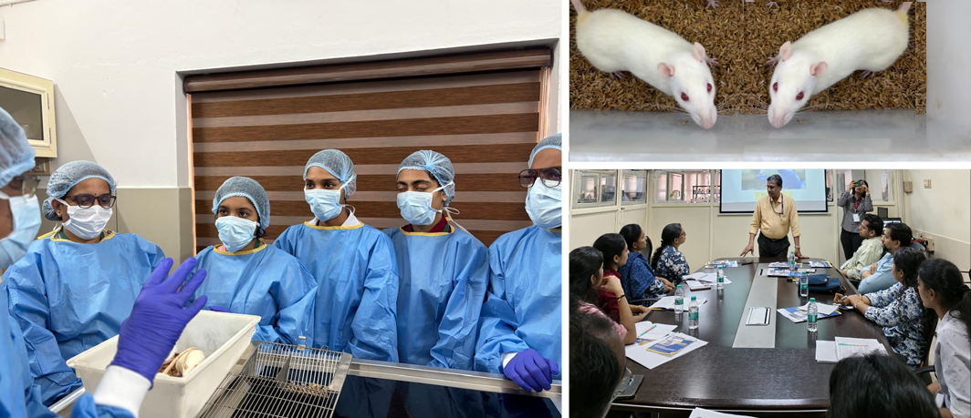 Workshop on Animal Handling and Experimentation successfully completed