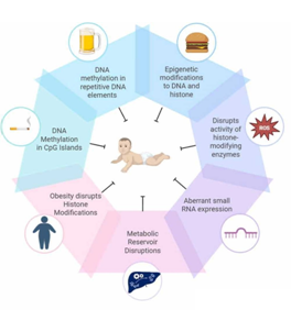 Epigenetic dysregulation in idiopathic male infertility: The role of aberrant histone post-translational modifications