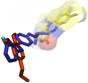 Methyl eugenol as a multitarget-directed ligand for Alzheimer disease: A promising lead for drug design