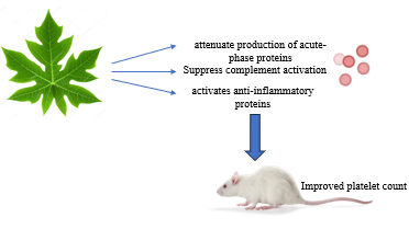 Anti-thrombocytopenic activity of Carica papaya L. cv. Red Lady leaf aqueous fraction in thrombocytopenic rat model: An investigation on blood plasma proteomic analysis